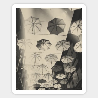 Vintage Dublin Umbrellas Sticker